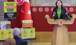 Milletvekili Durgut'tan tepkili kampanya! Topladığı izmarit kutularını sigara şirketlerine gönderdi
