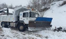 Sakarya'da yoğun kar alan grup yolları açılıyor