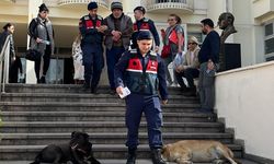 Bodrum'da 6 köpek ve 3 kedinin ölümüyle ilgili gözaltına alınan zanlı tutuklandı