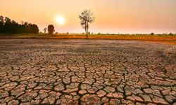 İklim değişikliği El Nino'yla zirve yaptı