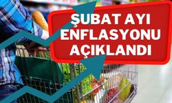 Şubat ayı enflasyon rakamları belli oldu