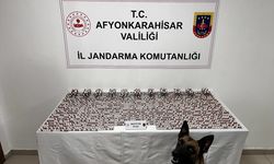 Afyonkarahisar'da uyuşturucu operasyonunda bir kişi tutuklandı