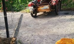 Manisa'da ağaca çarpan motosikletin sürücüsü öldü
