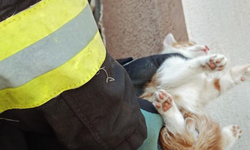 Manisa|  itfaiye duvar arasına sıkışan kediyi kurtardı