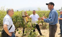 Büyükşehir hasar gören üreticilere destek sağlayacak