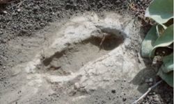 Dünya tarihi Manisa’da şekilleniyor En eski ayak izleri o ilçede bulunuyor!