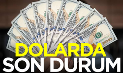 Dolar ne kadar oldu, Euro ne kadar oldu? İşte 7 Kasım Perşembe döviz fiyatları...