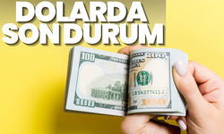 Dolar ne kadar oldu, Euro ne kadar oldu? İşte 26 Ekim Cumartesi döviz fiyatları...