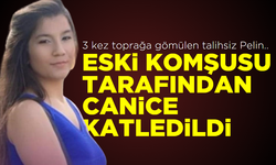 3 kez toprağa gömülen talihsiz fail: Eski komşusu tarafından canice katledilen Pelin