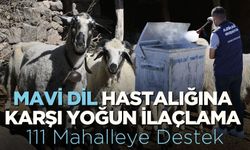 Mavi Dil Hastalığına Karşı Yoğun İlaçlama: 111 Mahalleye Destek