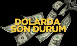 Dolar ne kadar oldu, Euro ne kadar oldu? İşte 21 Kasım Perşembe döviz fiyatları...