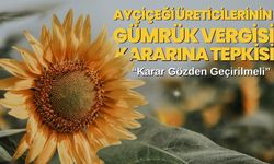 Ayçiçeği Üreticilerinin Gümrük Vergisi Kararına Tepkisi: “Karar Gözden Geçirilmeli”