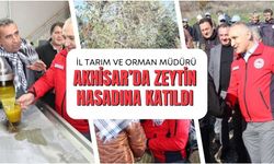 İl Tarım ve Orman Müdürü Öztürk Akhisar’da Zeytin Hasadına Katıldı