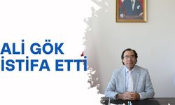 Ali Gök istifa etti