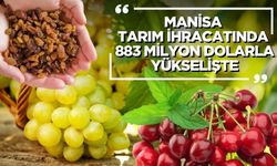 Manisa Tarım İhracatında 883 Milyon Dolarla Yükselişe Geçti