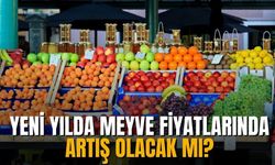 Yeni yılda meyve fiyatlarında artış olacak mı?