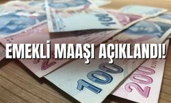 Emekli maaşı açıklandı !