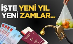 2025 Yılında Geçerli Olacak Zamlar: İşte Yeni Yıl Yeni zamları