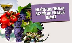 Manisa’dan Dünyaya 842 Milyon Dolarlık İhracat