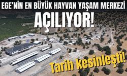 Manisa’ya Hayvan Yaşam Merkezi açılıyor: Tarih kesinleşti!