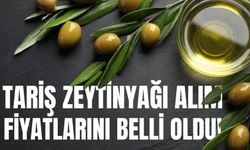 TARİŞ zeytinyağı alım fiyatlarını belli oldu!