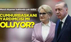 Meral Akşener hakkında şok iddia: Cumhurbaşkanı yardımcısı mı oluyor?