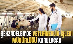 Şehzadeler'de veterinerlik işleri müdürlüğü oluşturulacak