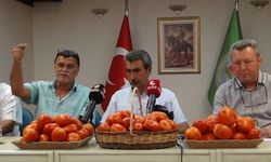 Manisalı çiftçiler geçen yıl yaşadığı sorunları atlatmak istiyor“Çiftçilerin canı çok yandı”