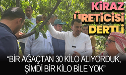 Kiraz Üreticisi Zirai Donun Ardından Dertli: “Bir Ağaçtan 30 Kilo Alıyorduk, Şimdi Bir Kilo Bile Yok”