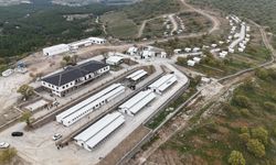 Hayvan yaşam merkezi açılıyor