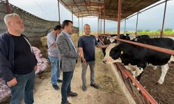 Kurbanlık satışında çözüm ‘taksitli satış’ oldu