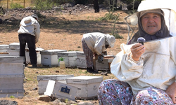 Yunusemre’de bal zamanı