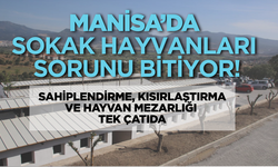Manisa'da sokak hayvanlarına yeni bir yaşam: 117 dönümlük merkez kapılarını açtı
