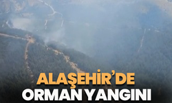 Alaşehir’de orman yangını