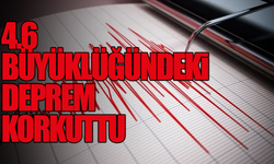 Çanakkale Gökçeada'da 4.6 büyüklüğünde deprem