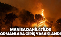 Manisa dahil 47 ilde ormanlara giriş yasaklandı: Yüksek risk nedeniyle sert tedbirler