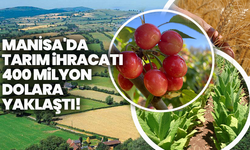 Manisa'da tarım ihracatı 400 milyon dolara  yaklaştı!