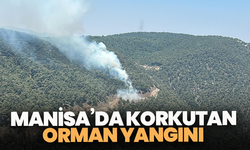 Manisa’da korkutan orman yangını