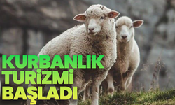 Kurbanlık turizmi başladı: Manisalılar kurban için ilçelere akın ediyor