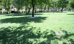 Salihli’de piknik alanları pırıl pırıl: Başkan Nurlu’dan temizlik çağrısı
