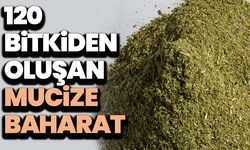 Raflarda yok, doğadan sofraya: 120 bitkiden oluşan mucize baharat "Zetrin"!