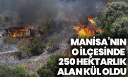 Manisa’nın o ilçesinde  250 hektarlık alan kül oldu