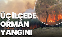 Antalya'da üç ilçede orman yangını: Aksu, Muratpaşa ve Manavgat alevlere teslim