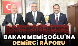 Bakan Memişoğlu’na Demirci raporu