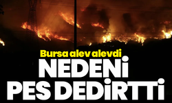 Bursa alev alevdi, nedeni pes dedirtti!