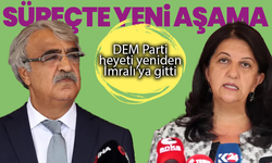 DEM Parti heyeti yeniden İmralı’ya gitti: Süreçte yeni aşama