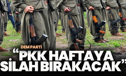 DEM Parti: “PKK Haftaya Silah Bırakacak”