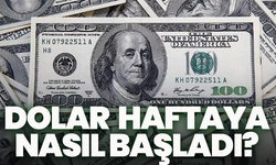 Döviz piyasası yeni hafta nasıl başladı ? Euro ve sterlin gerilerken Japon yeni yükseldi
