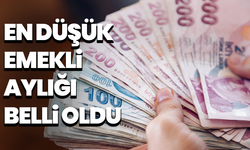 En düşük emekli aylığı 16.881 TL oldu: TBMM'de kabul edilen kanunla yeni düzenleme yürürlükte