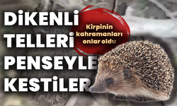 Yürek ısıtan kurtarma: Çocuklar dikenli tellere takılan kirpiyi kurtardı